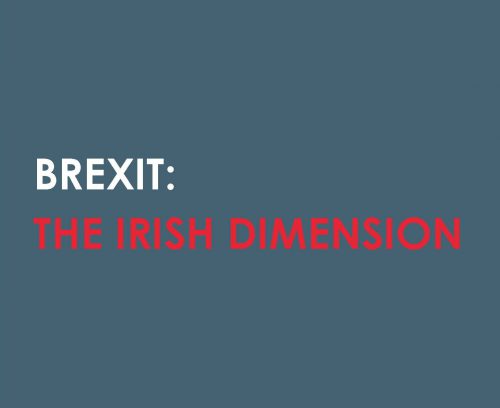 Read more about the article Anthony Bailey Consulting & British Influence launch report “Brexit: the Irish Dimension” ahead of EU Referendum